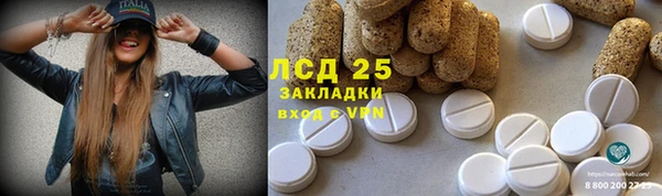 сатива Бородино