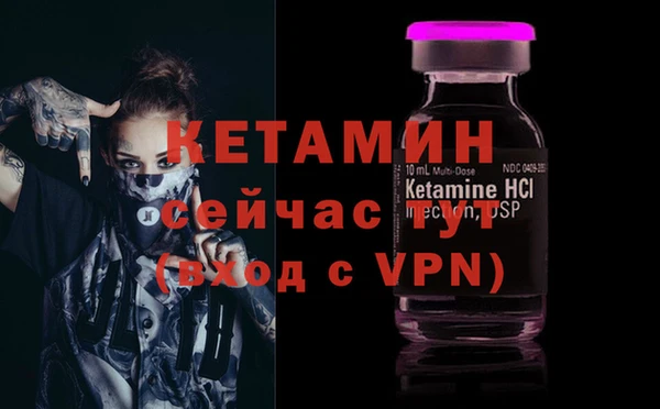 сатива Волоколамск