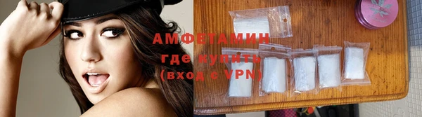 сатива Бородино