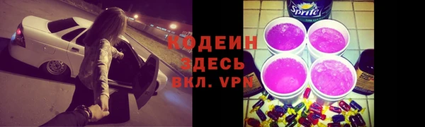 сатива Бородино
