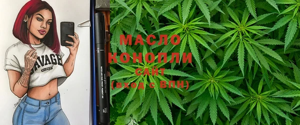 сатива Бородино